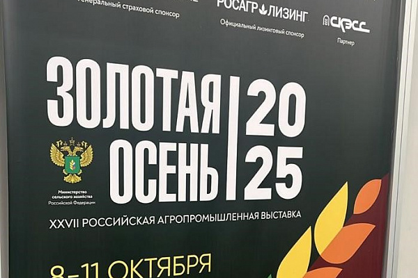 «Золотая осень – 2025»: три высшие награды у Еланского сыродельного комбината
